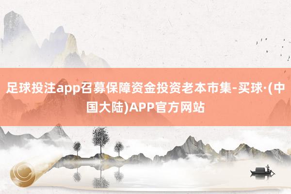 足球投注app召募保障资金投资老本市集-买球·(中国大陆)APP官方网站