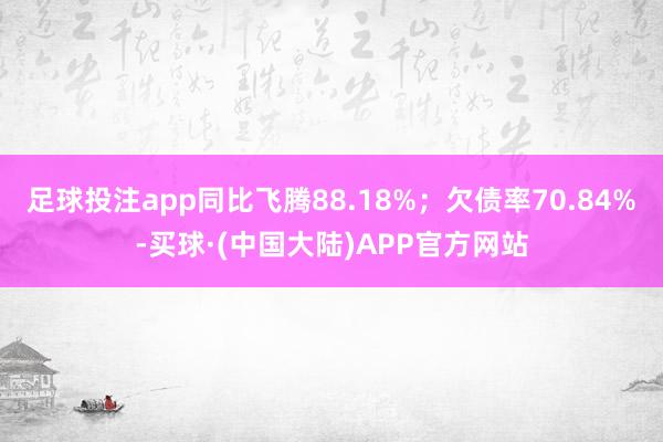 足球投注app同比飞腾88.18%；欠债率70.84%-买球·(中国大陆)APP官方网站