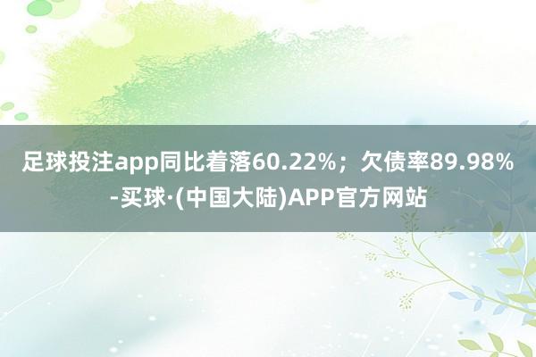 足球投注app同比着落60.22%；欠债率89.98%-买球·(中国大陆)APP官方网站