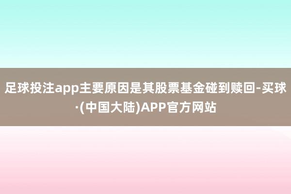 足球投注app主要原因是其股票基金碰到赎回-买球·(中国大陆)APP官方网站