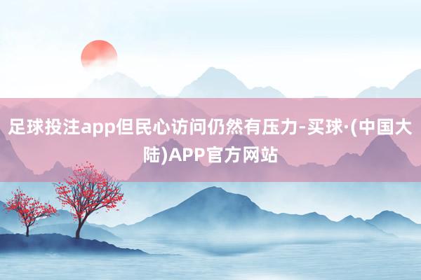 足球投注app但民心访问仍然有压力-买球·(中国大陆)APP官方网站