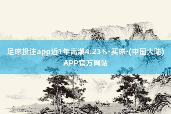 足球投注app近1年高潮4.23%-买球·(中国大陆)APP官方网站