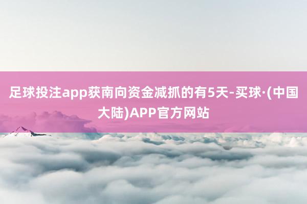 足球投注app获南向资金减抓的有5天-买球·(中国大陆)APP官方网站