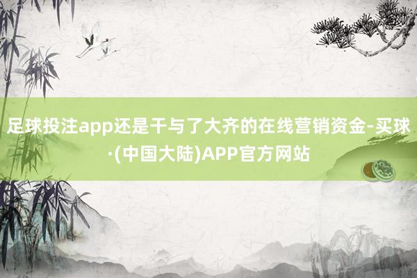 足球投注app还是干与了大齐的在线营销资金-买球·(中国大陆)APP官方网站