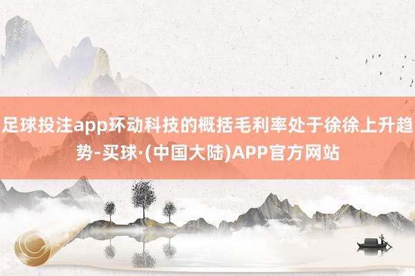 足球投注app环动科技的概括毛利率处于徐徐上升趋势-买球·(中国大陆)APP官方网站