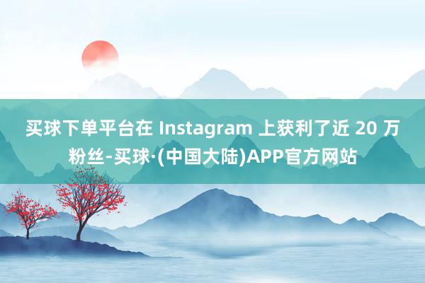 买球下单平台在 Instagram 上获利了近 20 万粉丝-买球·(中国大陆)APP官方网站