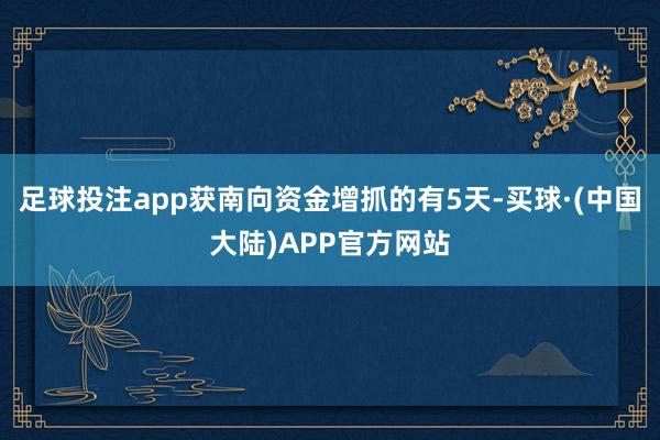 足球投注app获南向资金增抓的有5天-买球·(中国大陆)APP官方网站