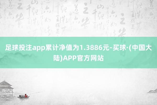 足球投注app累计净值为1.3886元-买球·(中国大陆)APP官方网站