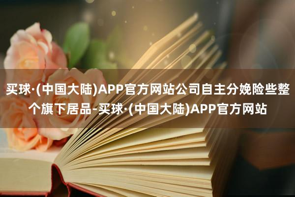 买球·(中国大陆)APP官方网站公司自主分娩险些整个旗下居品-买球·(中国大陆)APP官方网站