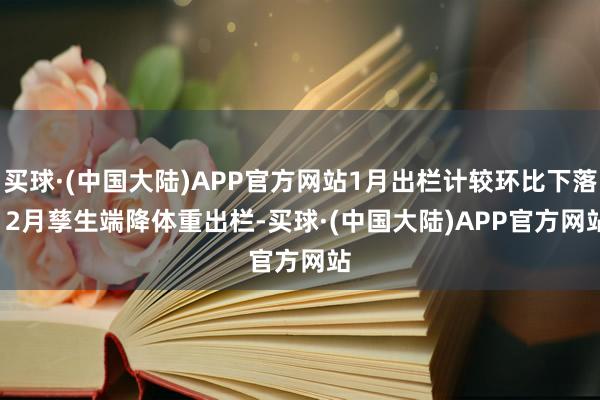 买球·(中国大陆)APP官方网站1月出栏计较环比下落　　12月孳生端降体重出栏-买球·(中国大陆)APP官方网站