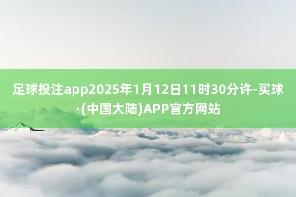 足球投注app2025年1月12日11时30分许-买球·(中国大陆)APP官方网站