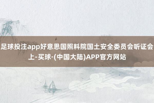 足球投注app好意思国照料院国土安全委员会听证会上-买球·(中国大陆)APP官方网站